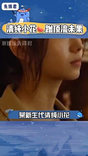 娱乐吃瓜酱顶流,揭秘顶流明星背后的故事